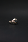 22 Anillo Tornus  | Ring Tornus