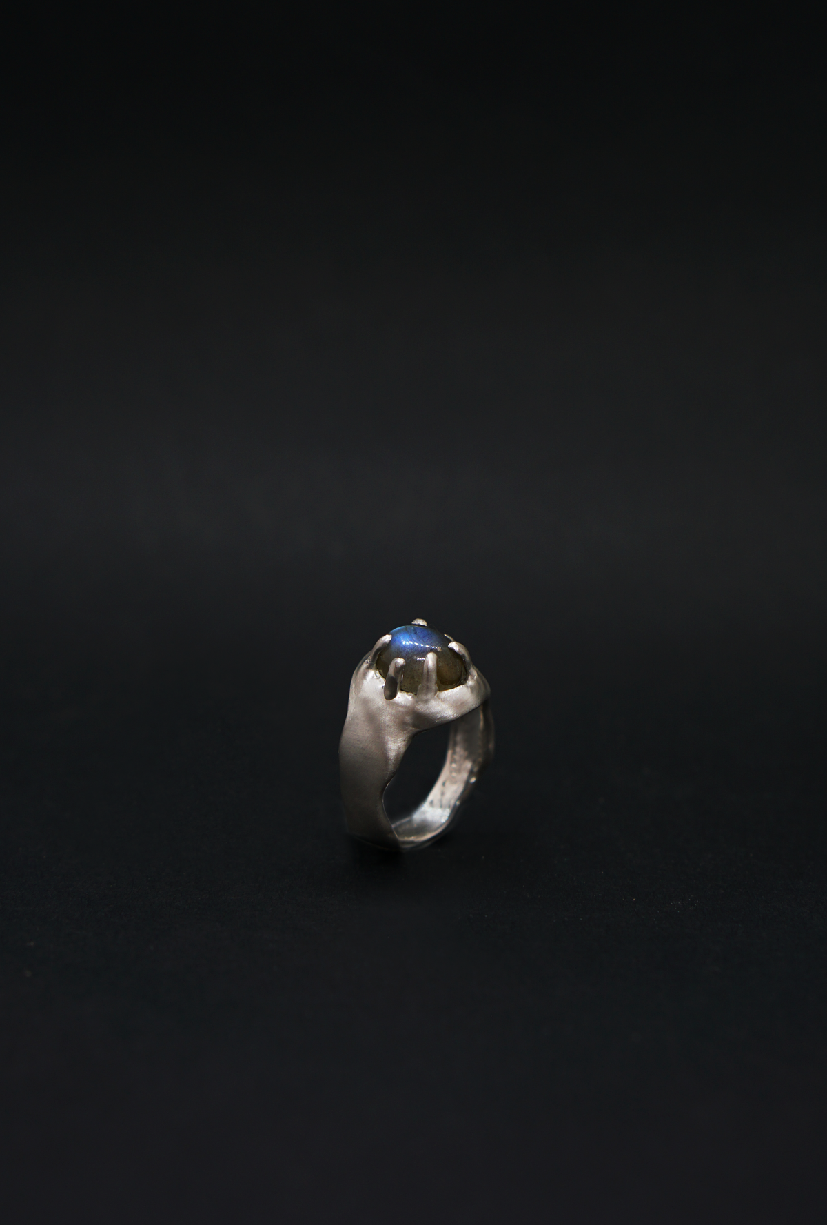22 Anillo Tornus  | Ring Tornus