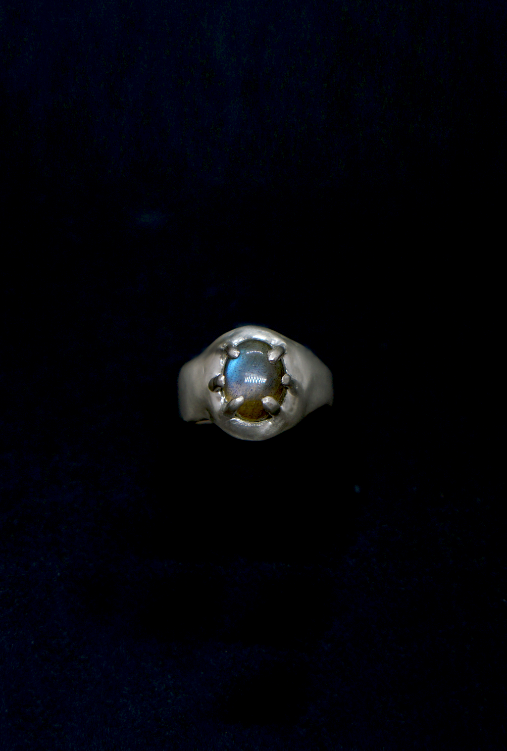 22 Anillo Tornus  | Ring Tornus
