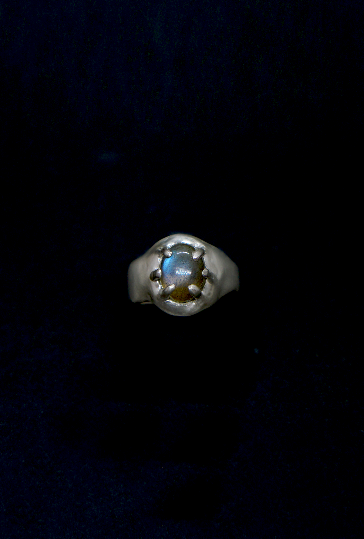 22 Anillo Tornus  | Ring Tornus